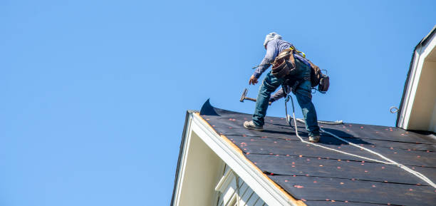 Best Metal Roofing Contractor  in Rosaryville, MD